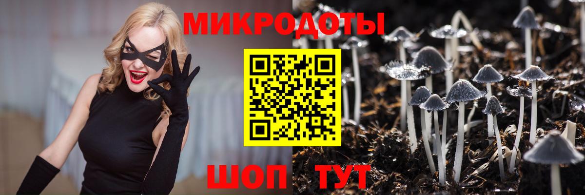 Галлюциногенные грибы Psilocybe Ростов-на-Дону